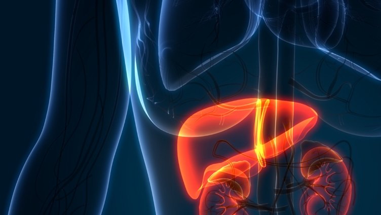 KIDNEY DONATION FAQS